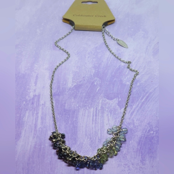 Coldwater Creek Silver Chain Shades Of Blue Small Beaded Necklace - Picture 1 of 4